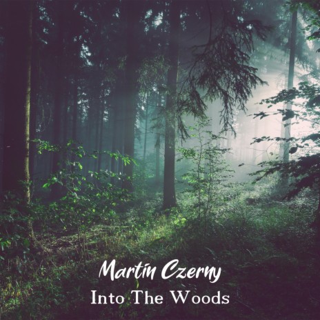 Into the Woods | Boomplay Music