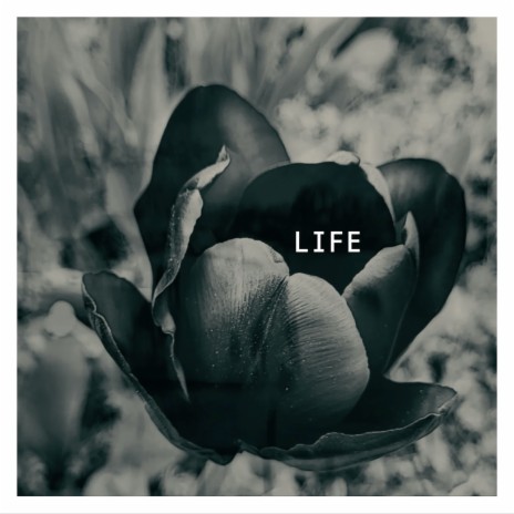 Life | Boomplay Music