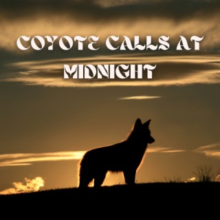 Coyote Calls at Midnight