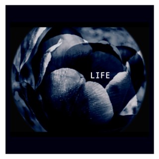 Life (remix)