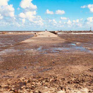 Puerto del Buceo