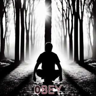 obey lyrics | Boomplay Music