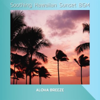 Soothing Hawaiian Sunset BGM