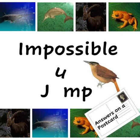 Impossible Jump | Boomplay Music