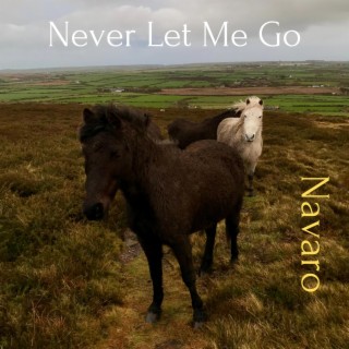 Never Let Me Go