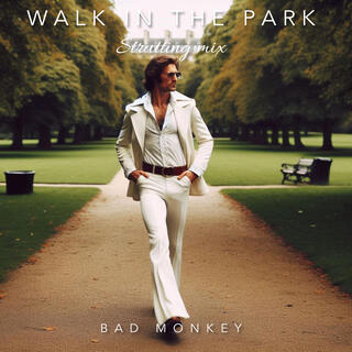 Walk in the Park (Strutting mix)