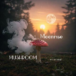 Mushroom Moonrise