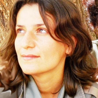 Evîna Sarayê