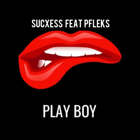 PLAY BOY (feat. PFLEKS)