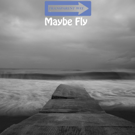 Maybe Fly | Boomplay Music