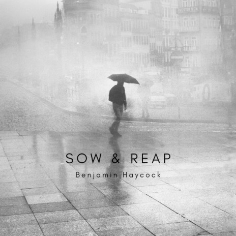 Sow & Reap | Boomplay Music