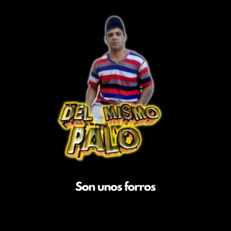 Son unos forros | Boomplay Music