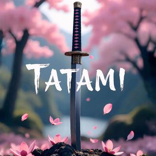 Tatami lyrics | Boomplay Music