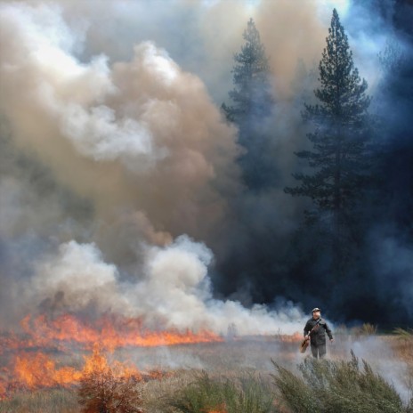 My Meadow (The Fire) | Boomplay Music