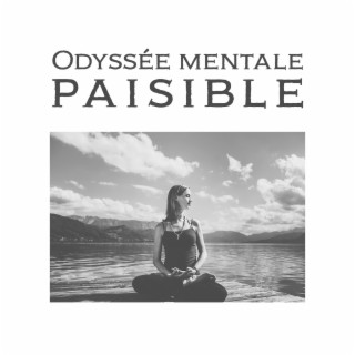 Odyssée mentale paisible : Plongez dans le sommeil, Débarrassez-vous du stress et des tensions, Profitez d'une nuit calme