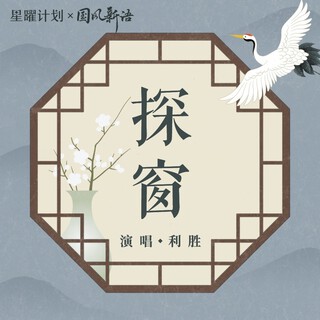 探窗 (DJ版) lyrics | Boomplay Music