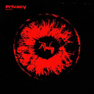 Privacy lyrics | Boomplay Music