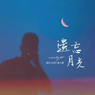 遗忘月光 (伴奏) ft. 袁小葳 lyrics | Boomplay Music