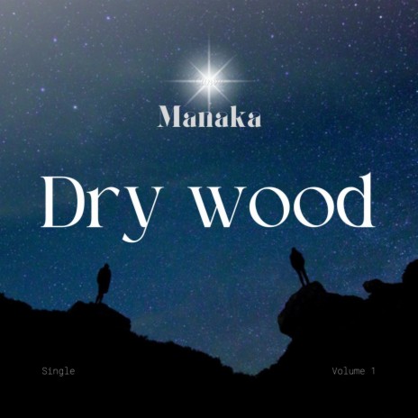 Dry wood | Boomplay Music