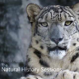 The Natural History Sessions (Original Soundtrack)