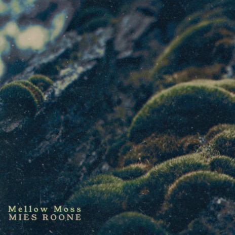 Mellow Moss | Boomplay Music
