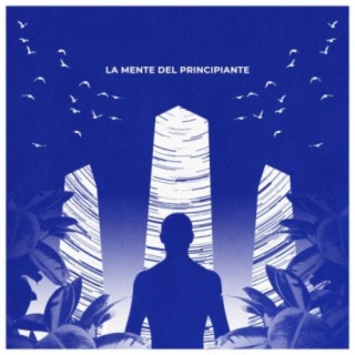 LA MENTE DEL PRINCIPIANTE (Respirare)