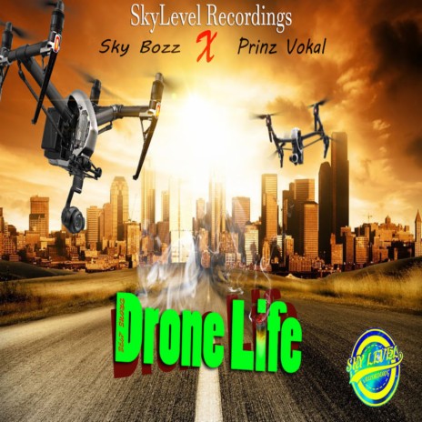 Drone Life ft. Prinz Vokal | Boomplay Music