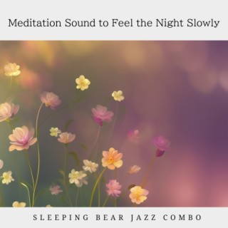 Meditation Sound to Feel the Night Slowly