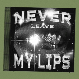 Never Leave My Lips lyrics | Boomplay Music