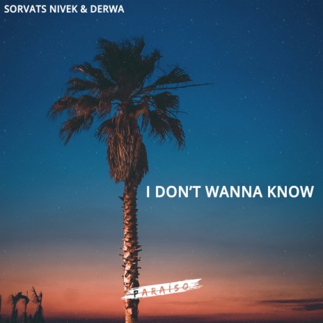 I Don't Wanna Know ft. DERWA | Boomplay Music