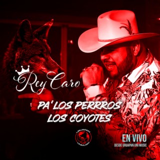 Pa' Los Perros Los Coyotes (En Vivo)