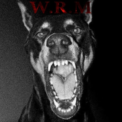 WRM | Boomplay Music