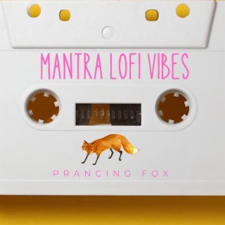 Mantra Lofi Vibes (live your life) (Live)