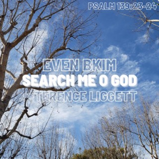 Search Me O God ft. Terence Liggett lyrics | Boomplay Music