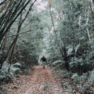 Bamboo Alley journal log