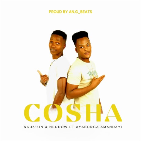 Cosha ft. Nerdow & Ayabonga Amandayi | Boomplay Music