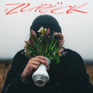 ZURÜCK lyrics | Boomplay Music