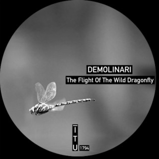 The Flight Of The Wild Dragonfly