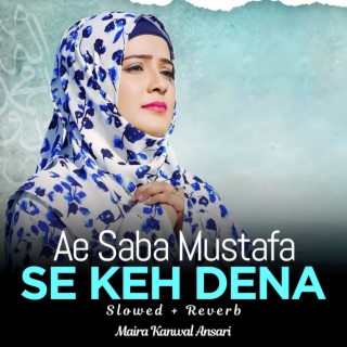 Ae Saba Mustafa Se Keh Dena Lofi