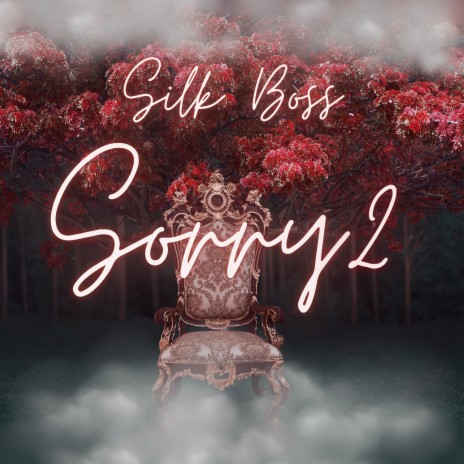 Sorry 2 | Boomplay Music