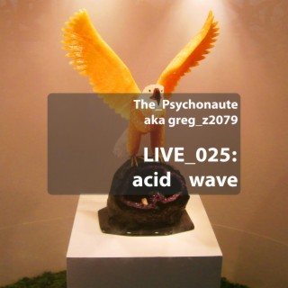 acid wave