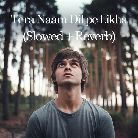 Tera Naam Dil Pe Likha (Slowed + Reverb) | Boomplay Music