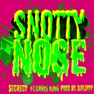 SnottyNose (Dj Flippp Remix)