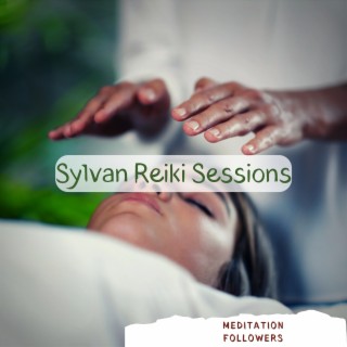 Sylvan Reiki Sessions: Forest Healing