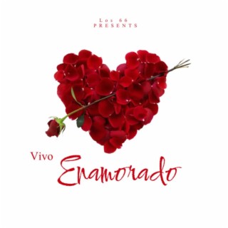 Vivo Enamorado