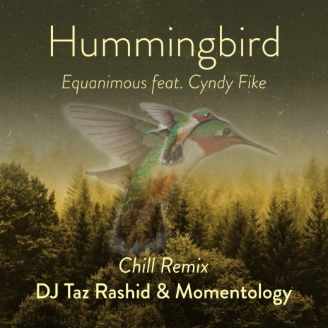 Hummingbird Chill Mix (feat. Cyndy Fike) (DJ Taz Rashid & Momentology Remix) | Boomplay Music