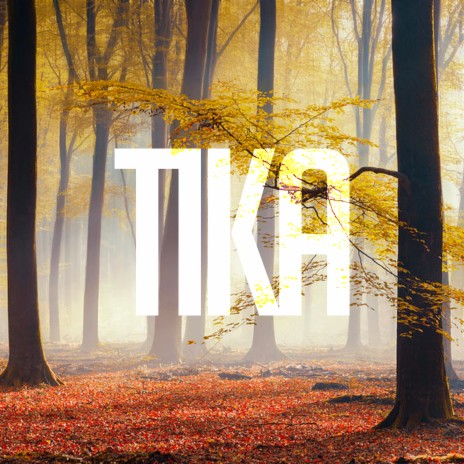 TIKA ft. ZAPATERRO | Boomplay Music