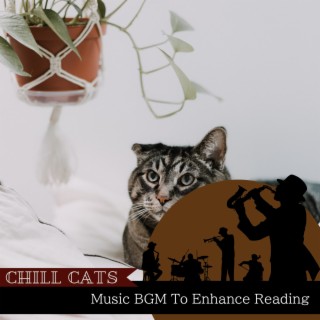 Music BGM To Enhance Reading