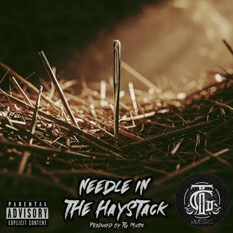 Needle in the Haystack | Boomplay Music