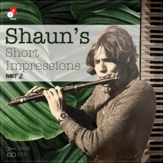Shaun's Short Impressions Part 2.